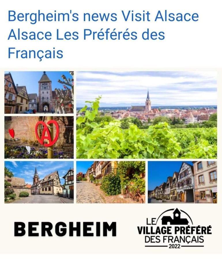 ריביווילה La Maison Des Tanneurs מראה חיצוני תמונה